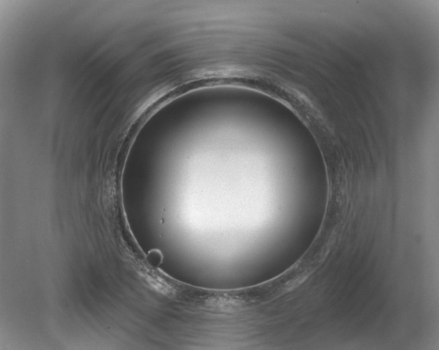 X0000080151073200612081316