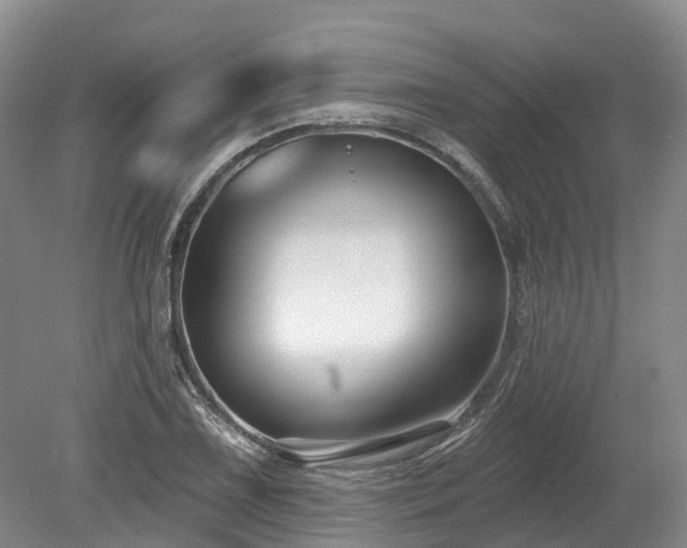 X0000080151075200612081316
