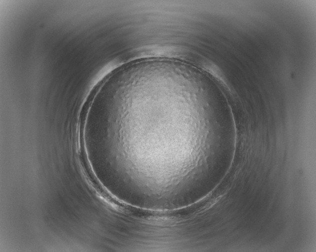 X0000080151079200612081315