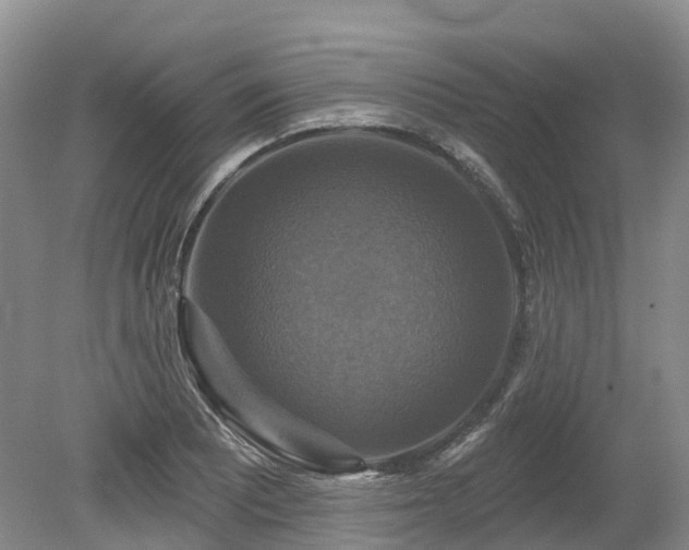 X0000080151081200612081315
