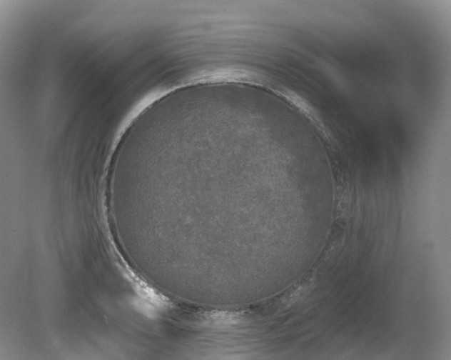 X0000080151086200612081315