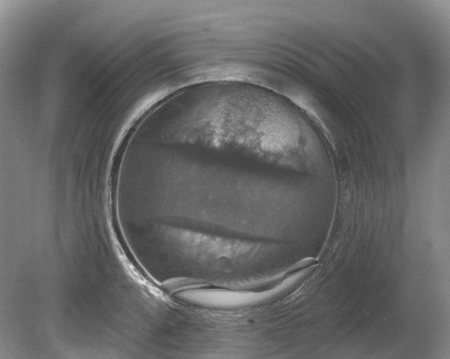 X0000080151088200612081315