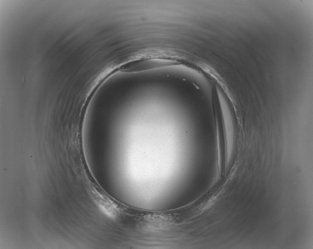 X0000080151089200612081315