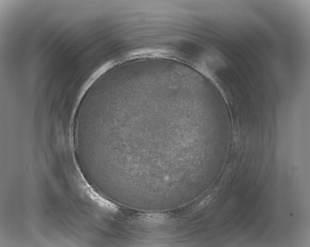X0000080151090200612081315
