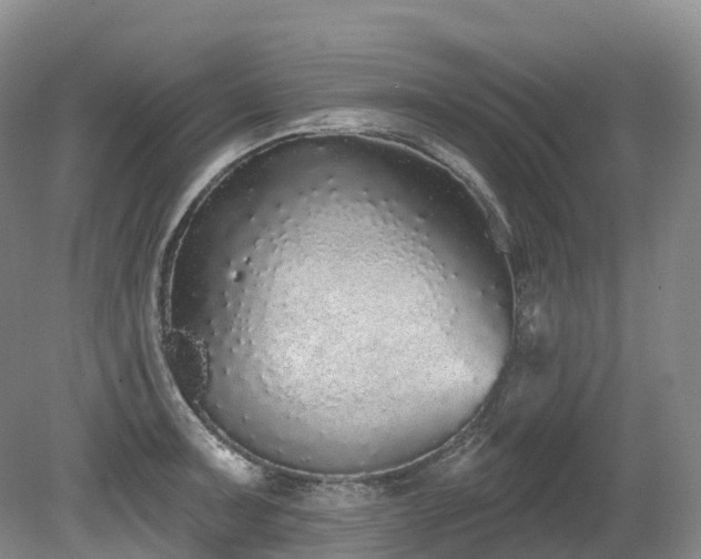 X0000080151091200612081315