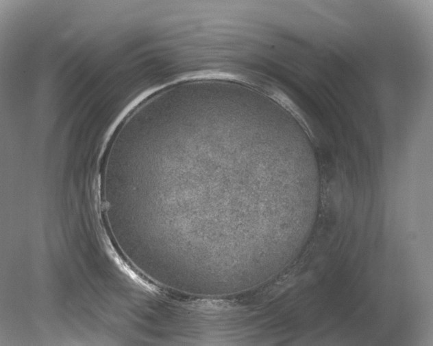 X0000080151092200612081315