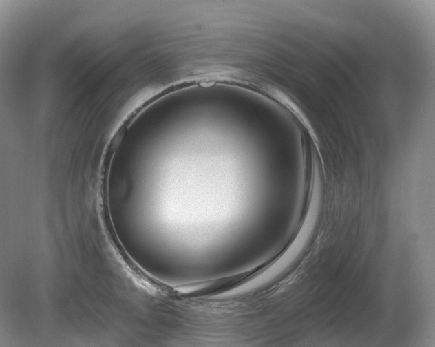 X0000080151093200612081315