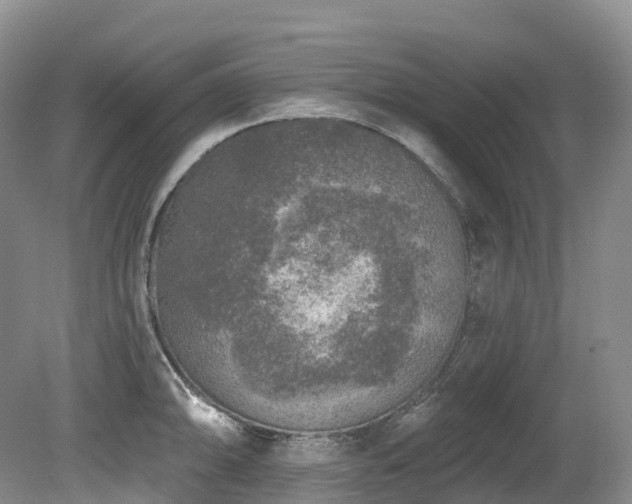 X0000080151094200612081315