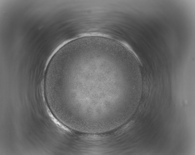 X0000080151100200612081315