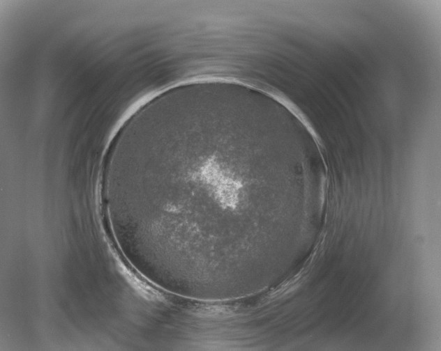 X0000080151101200612081315