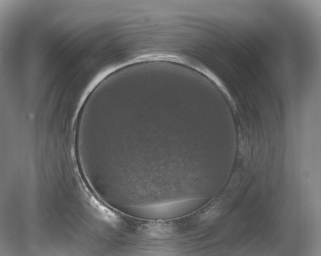 X0000080151102200612081315