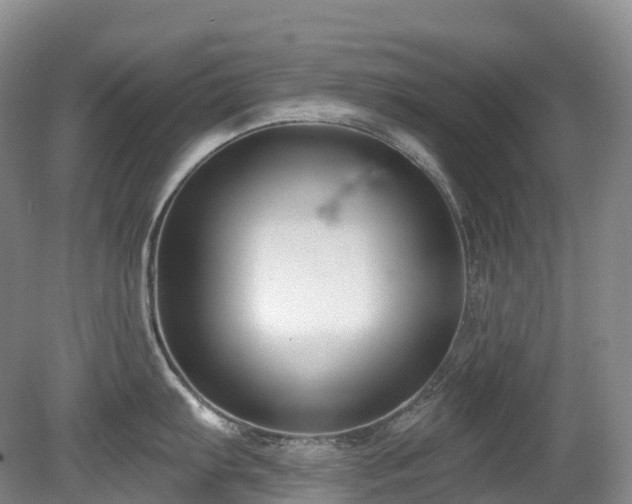 X0000080151103200612081315