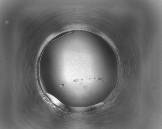 X0000080151104200612081315