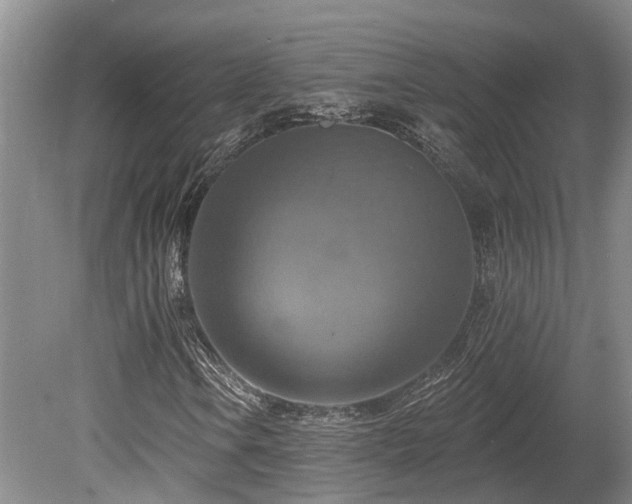 X0000080151106200612081314