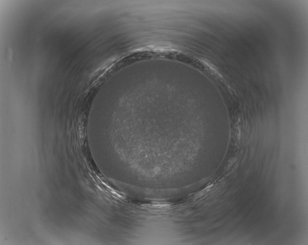 X0000080151110200612081314