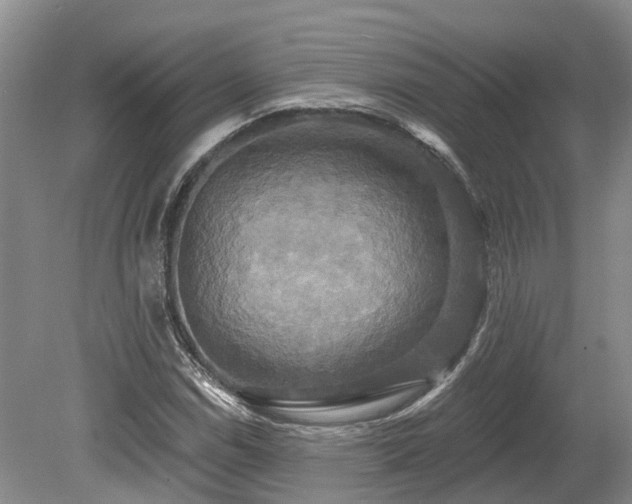 X0000080151114200612081314