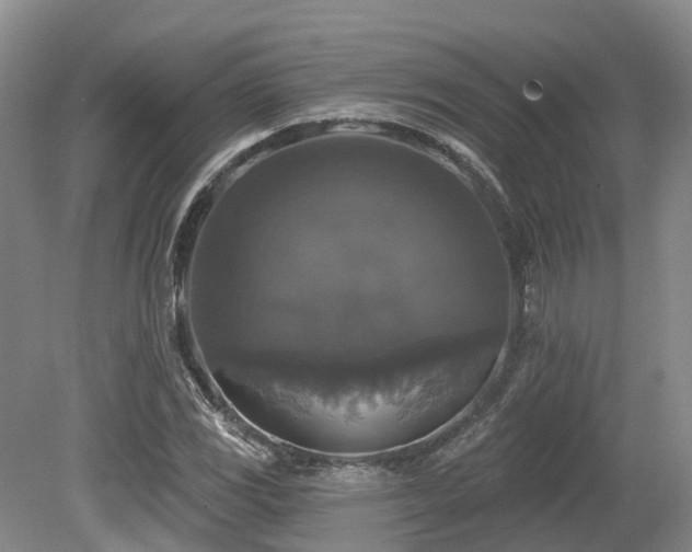 X0000080151117200612081314