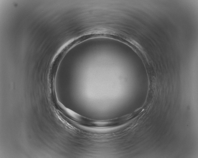 X0000080151120200612081315
