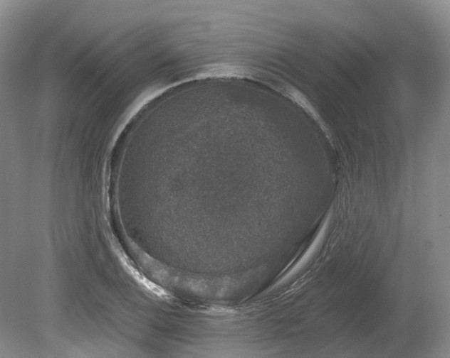 X0000080151124200612081315
