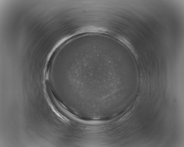 X0000080151128200612081315