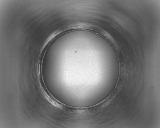 X0000080151130200612081315