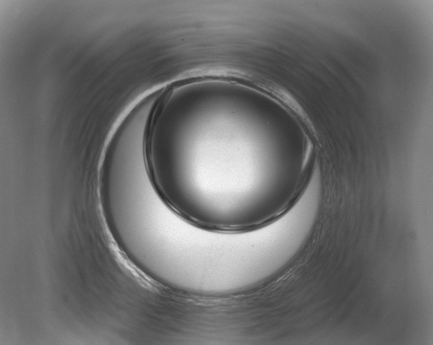 X0000080151132200612081315