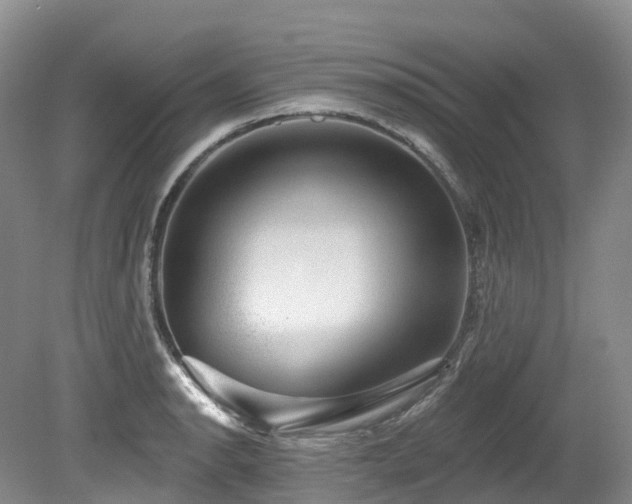X0000080151134200612081315