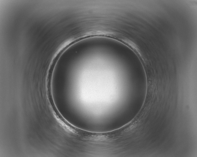 X0000080151135200612081315