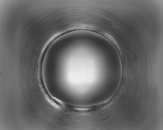 X0000080151136200612081315