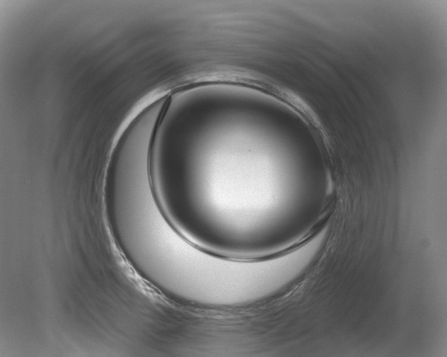 X0000080151138200612081315