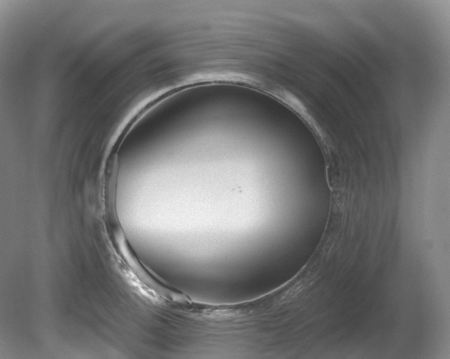 X0000080151140200612081315