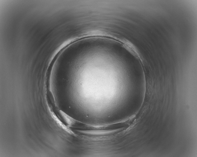 X0000080151142200612081315