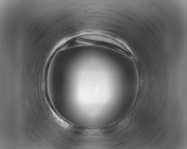 X0000080151143200612081315