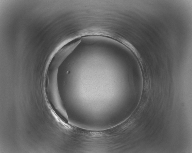 X0000080151144200612081315