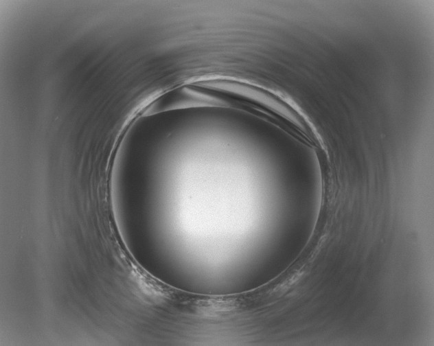 X0000080151145200612081315