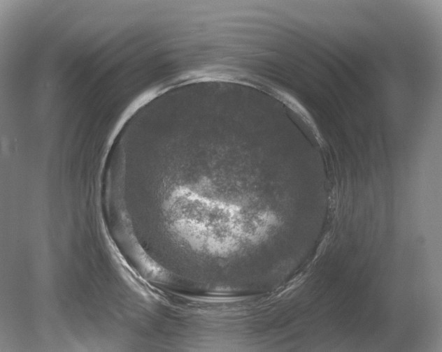 X0000080151146200612081315