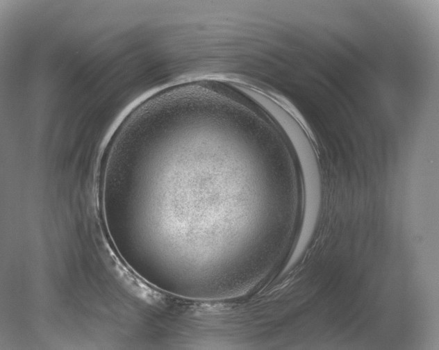 X0000080151148200612081315