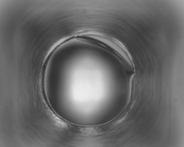 X0000080151149200612081315