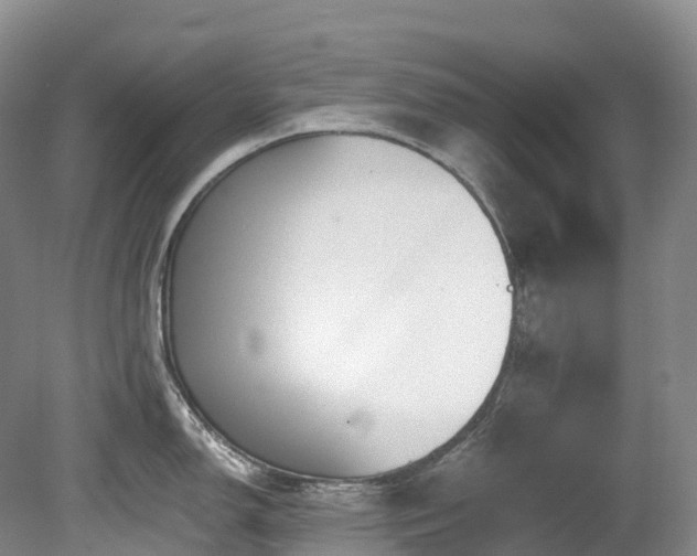 X0000080151150200612081315