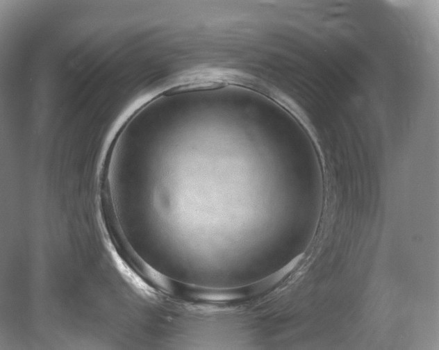 X0000080151152200612081315