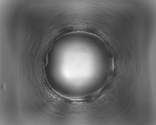 X0000080151153200612081314