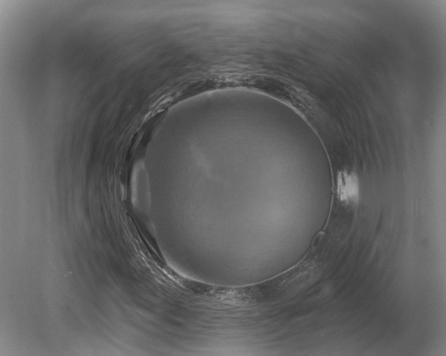 X0000080151155200612081314