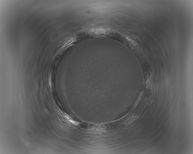 X0000080151156200612081314
