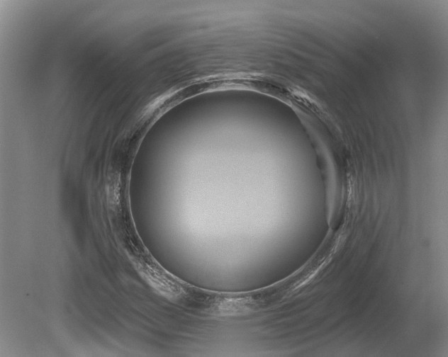 X0000080151161200612081314