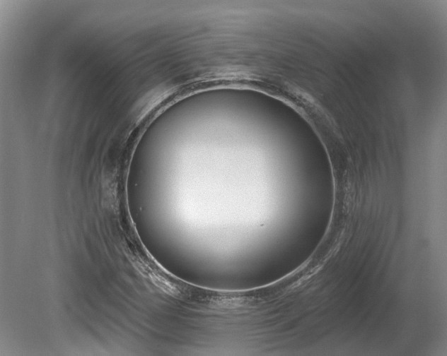X0000080151162200612081314