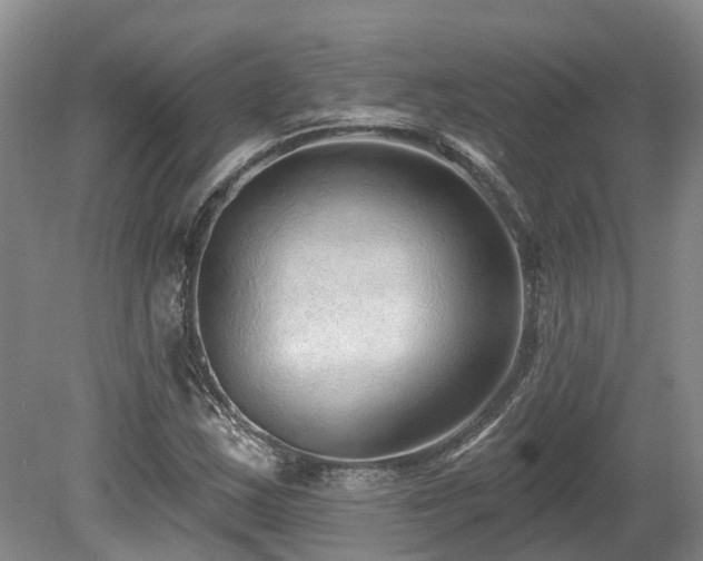 X0000080151163200612081314