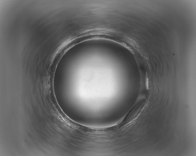 X0000080151164200612081314