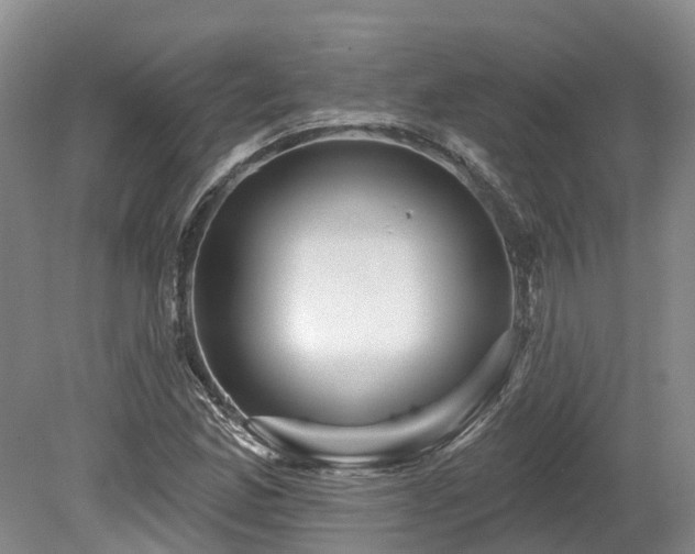 X0000080151165200612081314