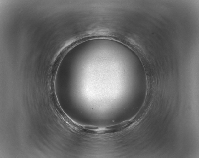 X0000080151166200612081314