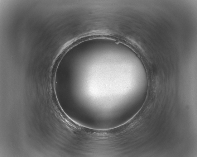 X0000080151168200612081314